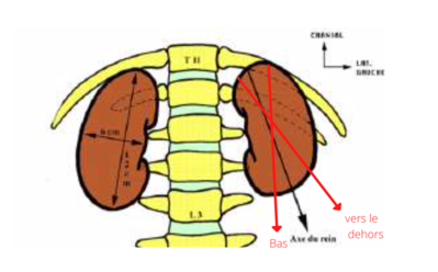 Capture d’écran 2022-02-25 à 14.19.08.png