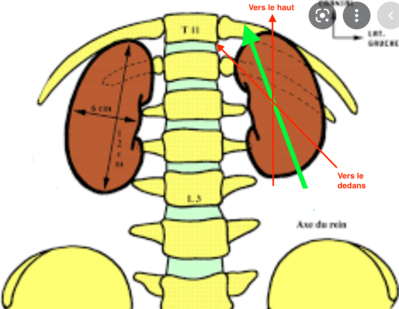 Capture d’écran 2022-02-25 à 14.14.50.png