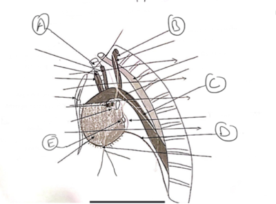 Capture d’écran 2022-02-25 à 14.46.30.png