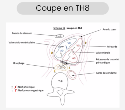 Capture d’écran 2022-02-25 à 15.31.49.png