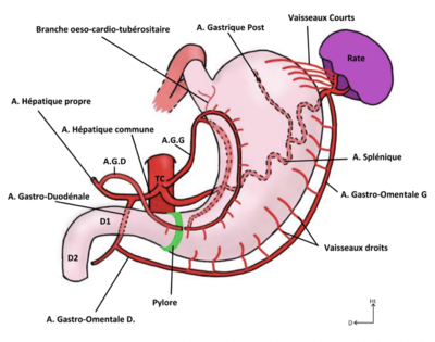 Capture d’écran 2022-02-28 à 09.59.59.png