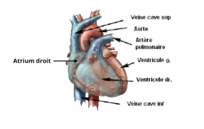 Capture d’écran 2022-03-01 à 12.33.37.png