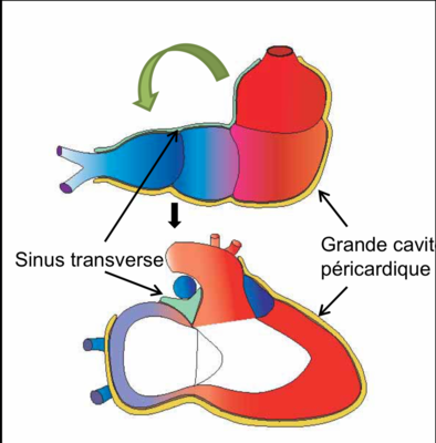 Capture d’écran 2022-03-02 à 18.36.22.png