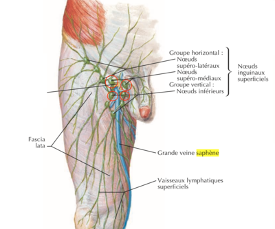 Capture d’écran 2022-03-02 à 21.12.47.png