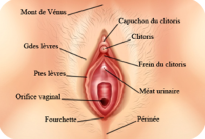 Capture d’écran 2022-03-03 à 20.25.58.png