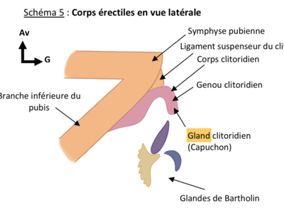Capture d’écran 2022-03-03 à 20.37.09.png