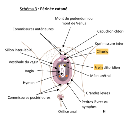 Capture d’écran 2022-03-03 à 20.37.21.png