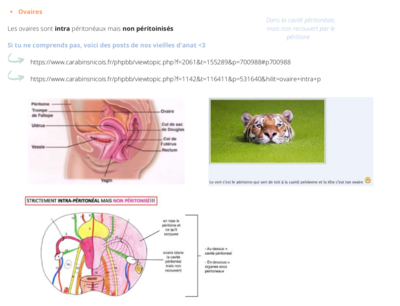 Capture d’écran 2022-03-03 à 20.39.48.png