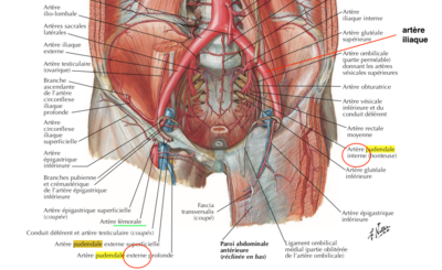 Capture d’écran 2022-03-05 à 17.50.18.png