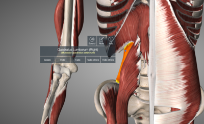 Capture d’écran 2022-03-07 à 11.46.28.png