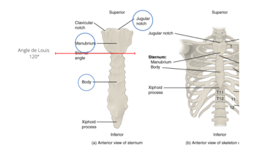 Capture d’écran 2022-03-07 à 12.15.37.png