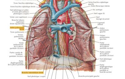Capture d’écran 2022-03-07 à 12.20.48.png