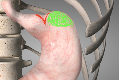 Capture d’écran 2022-03-07 à 12.38.44.png