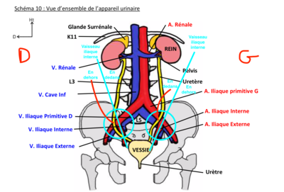 Capture d’écran 2022-03-08 à 21.15.03.png