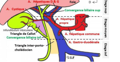 Capture d'écran 2022-03-12 21.52.29.png