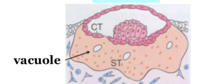 Capture d’écran 2022-03-13 à 16.19.03.png