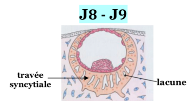 Capture d’écran 2022-03-13 à 16.18.58.png