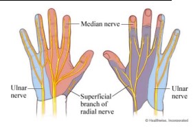 Capture d’écran 2022-03-13 182316.jpg
