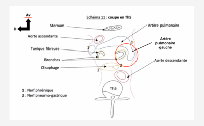 Capture d’écran 2022-03-14 à 17.12.27.png