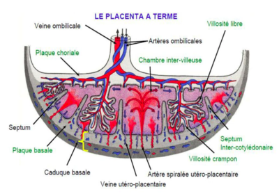 Capture d’écran 2022-03-14 à 19.19.13.png