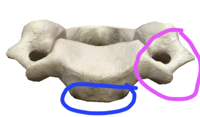 Capture d’écran 2022-03-15 à 16.11.06.png