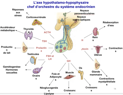 Capture d’écran 2022-03-16 à 08.52.32.png