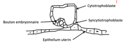 Capture d’écran 2022-03-16 à 22.02.20.png