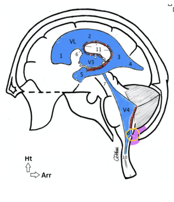 Capture d’écran 2022-03-18 à 10.00.45.png