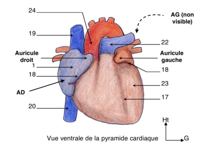 Capture d’écran 2022-03-18 à 10.00.35.png