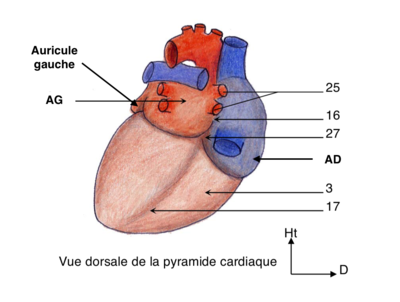 Capture d’écran 2022-03-18 à 10.02.57.png