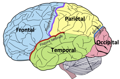 Capture d’écran 2022-03-18 à 10.15.57.png