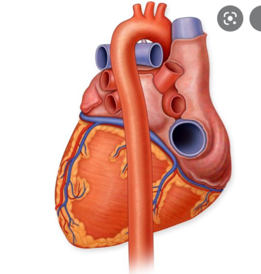 Capture d’écran 2022-03-18 à 10.37.52.png