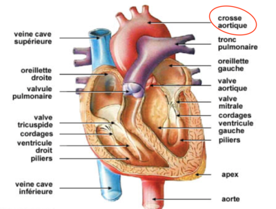 Capture d’écran 2022-03-18 à 10.42.11.png