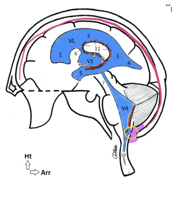 Capture d’écran 2022-03-18 à 10.00.45.png