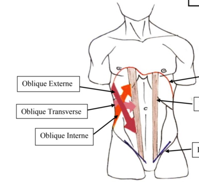 Capture d’écran 2022-03-20 à 19.09.06.png