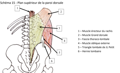 Capture d’écran 2022-03-20 à 19.11.55.png
