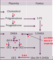 Capture d’écran 2022-03-22 à 14.04.14.png