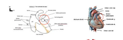 Capture d’écran 2022-03-23 à 11.52.24.png