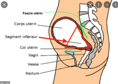 Capture d’écran 2022-03-23 à 15.20.43.png