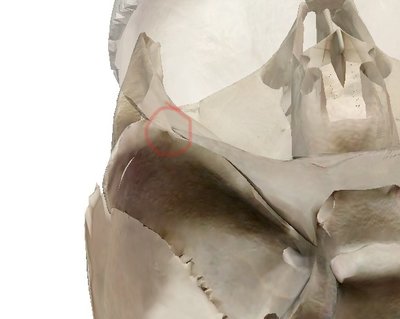 PAS non visible en surface.jpg