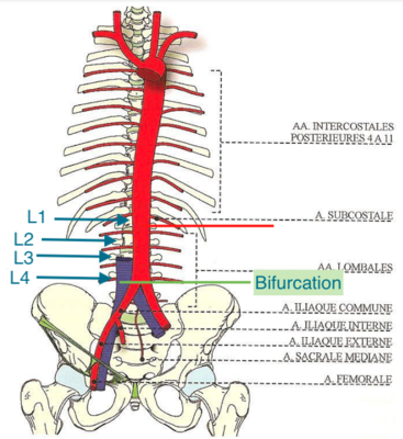 Capture d’écran 2022-03-25 à 11.56.22.png