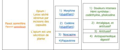 Capture d’écran 2022-03-26 à 20.02.15.png