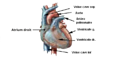 Capture d’écran 2022-03-28 à 20.52.06.png