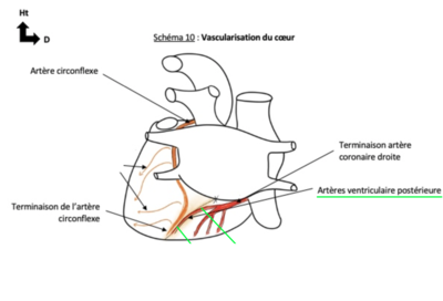 Capture d’écran 2022-03-28 à 21.41.08.png