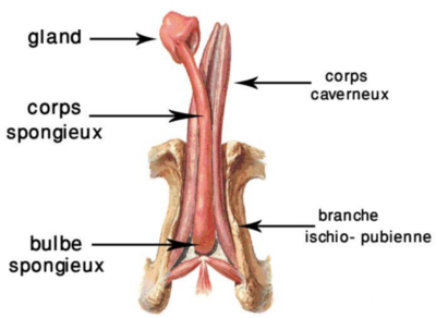 Capture d’écran 2022-03-28 à 22.10.48.png