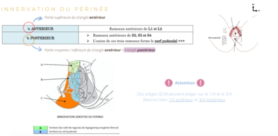 Capture d’écran 2022-03-28 à 23.10.13.png