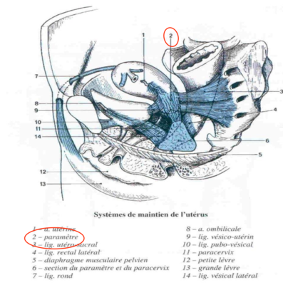 Capture d’écran 2022-03-29 à 16.30.55.png