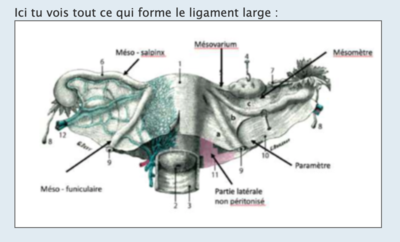Capture d’écran 2022-03-29 à 16.34.46.png