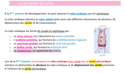 Capture d’écran 2022-03-29 à 17.34.04.png