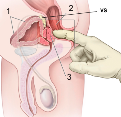 Capture d’écran 2022-03-29 à 19.50.22.png